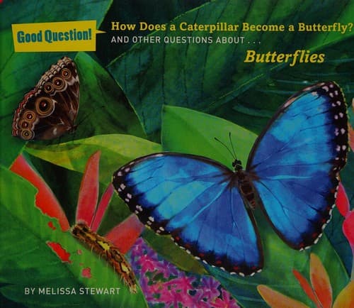 Cover of How does a caterpillar become a butterfly?