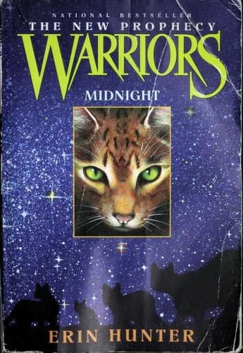 Cover of Midnight