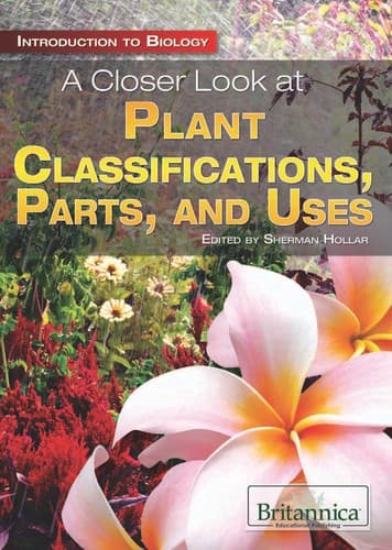 Cover of A closer look at plant classifications, parts, and uses