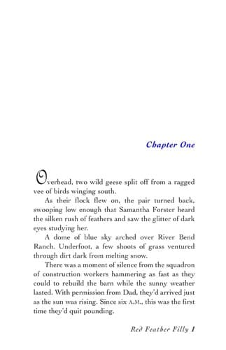 Cover of Red feather filly