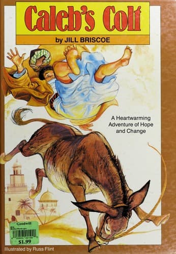 Cover of Caleb's colt