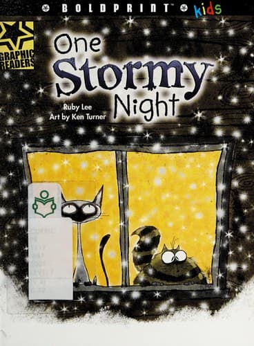 Cover of One stormy night