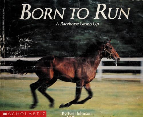 Cover of Born to Run