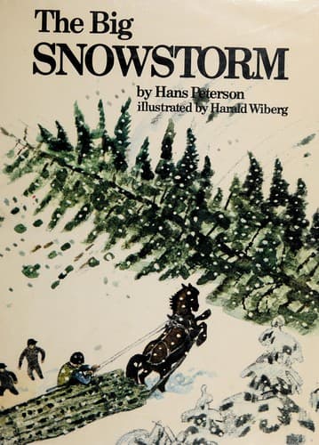 Cover of The big snowstorm