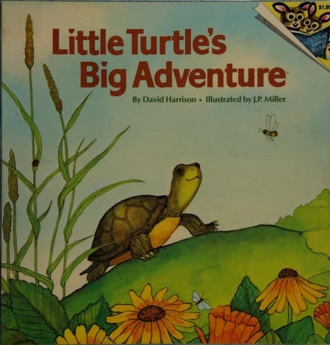Cover of Little Turtles Big Adv