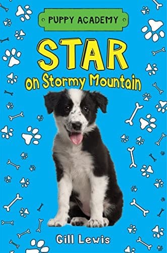 Cover of Star on Stormy Mountain