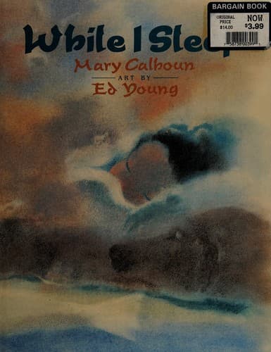 Cover of While I sleep