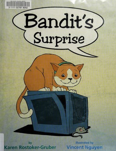 Cover of Bandit's surprise
