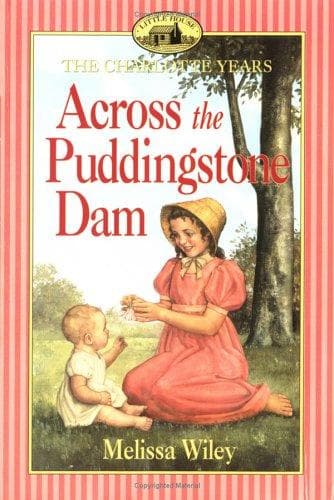 Cover of Across the Puddingstone Dam