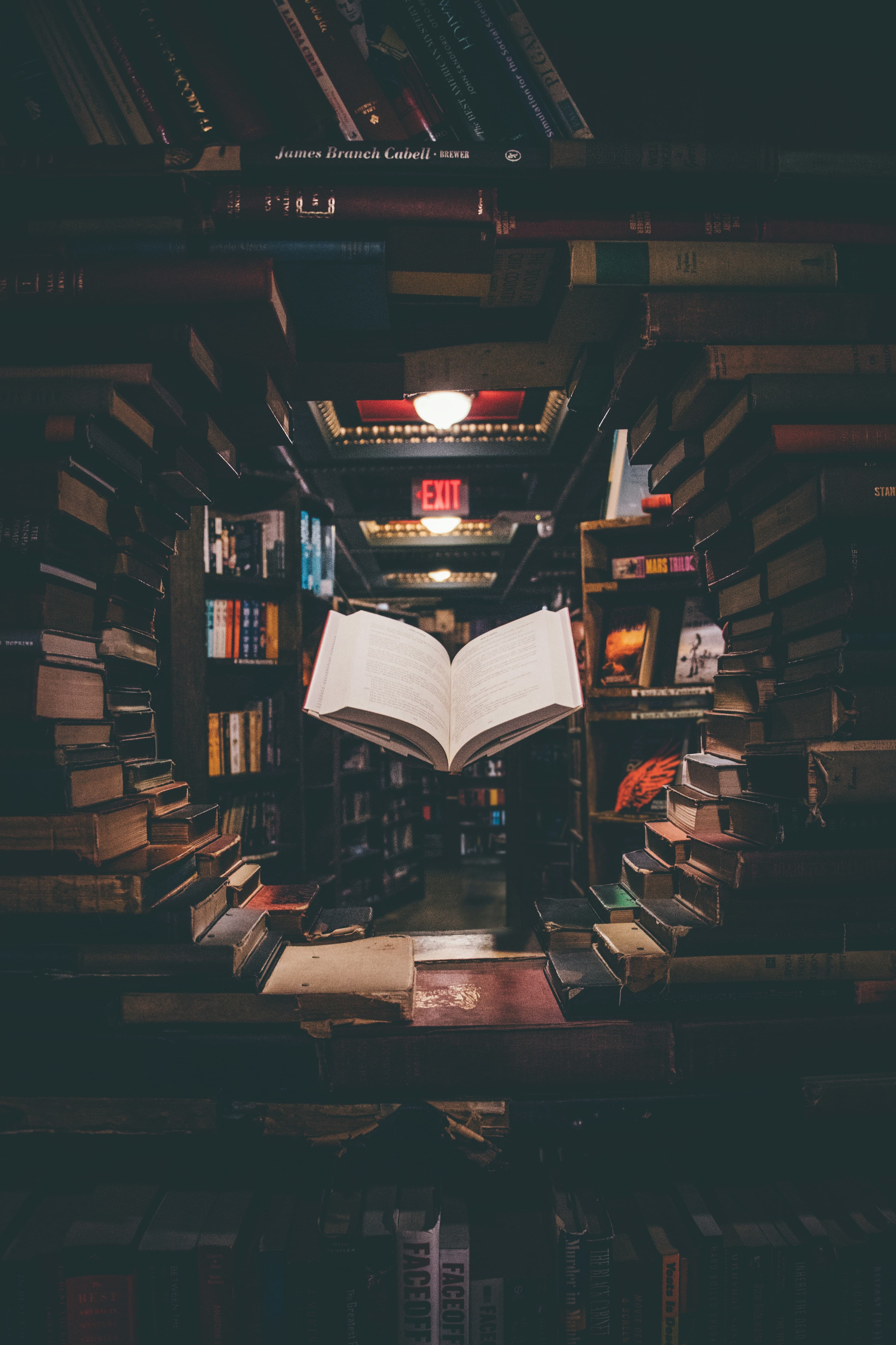 Screen Time Alternative: 7 Tips for Building a Reading Habit Kids Love
